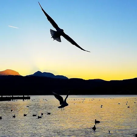 Seepanorama An Der Esplanade 1 Gmunden