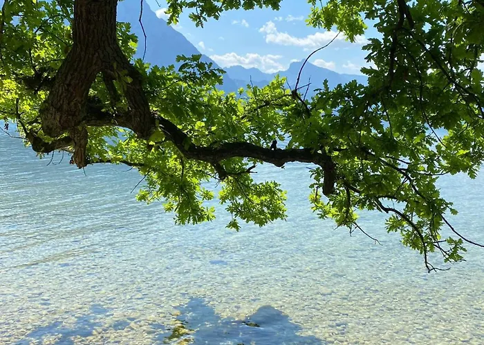 Apartment Seepanorama An Der Esplanade 1 Gmunden