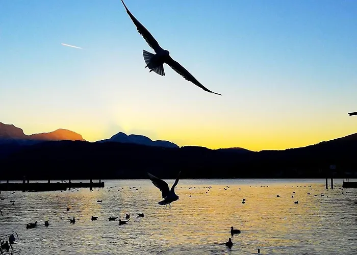 Seepanorama An Der Esplanade 1 Gmunden